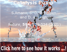 Catalysis Pump
